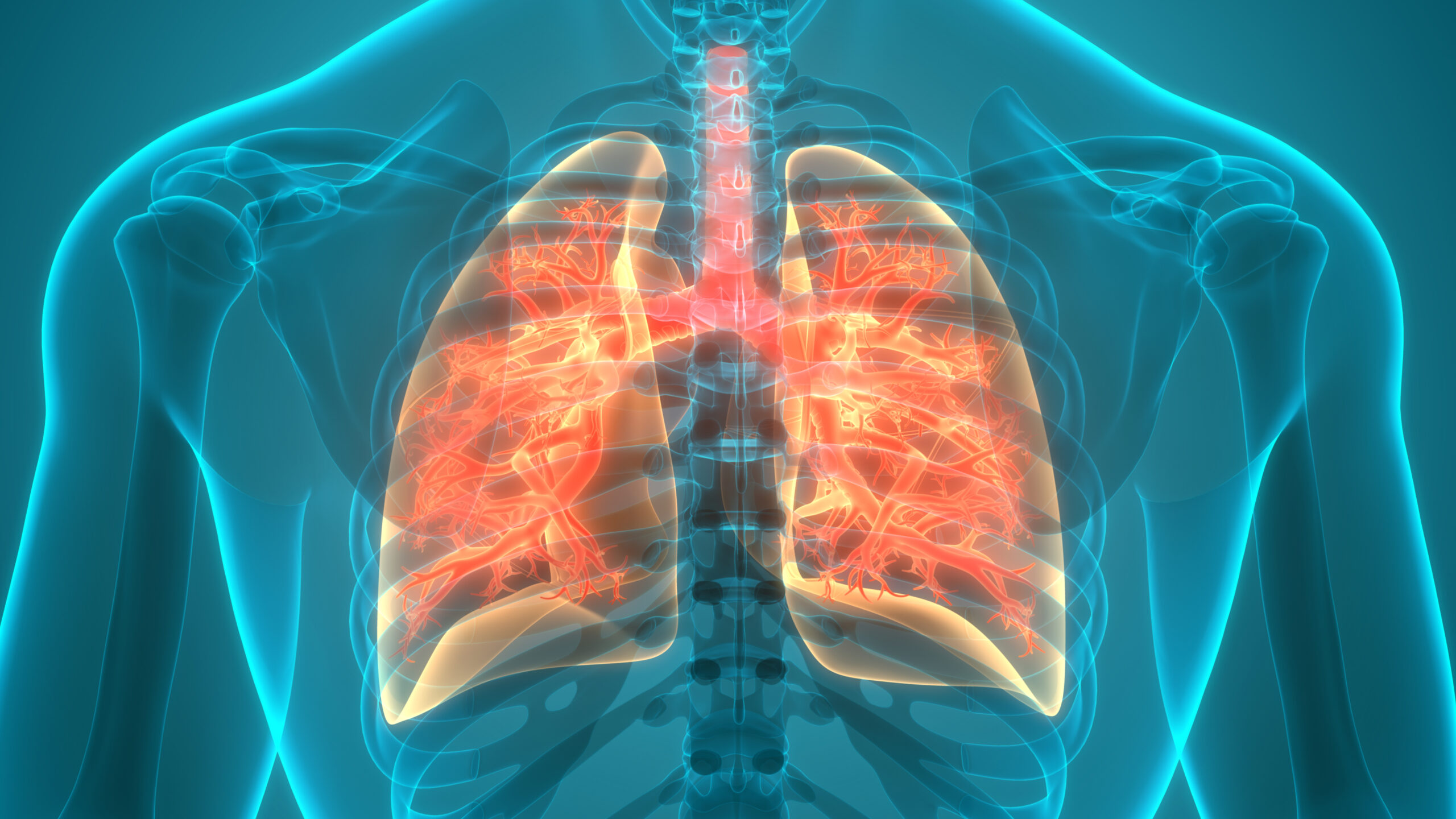 Upper & Lower Respiratory System