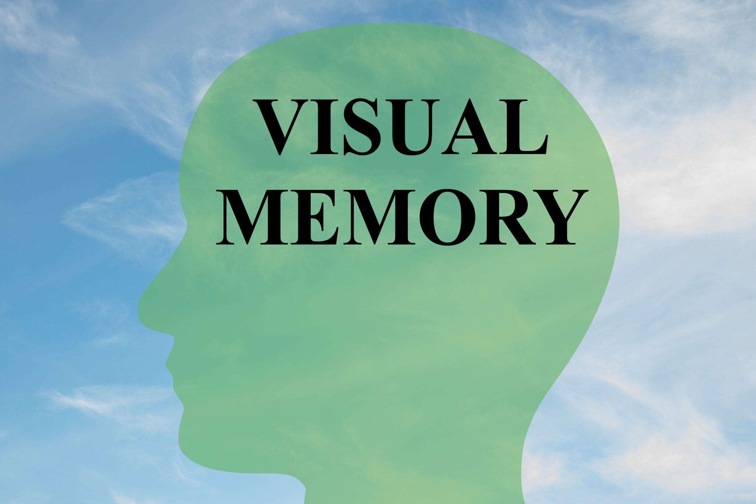 Visual Memory for Medical School - You See What You Want to See