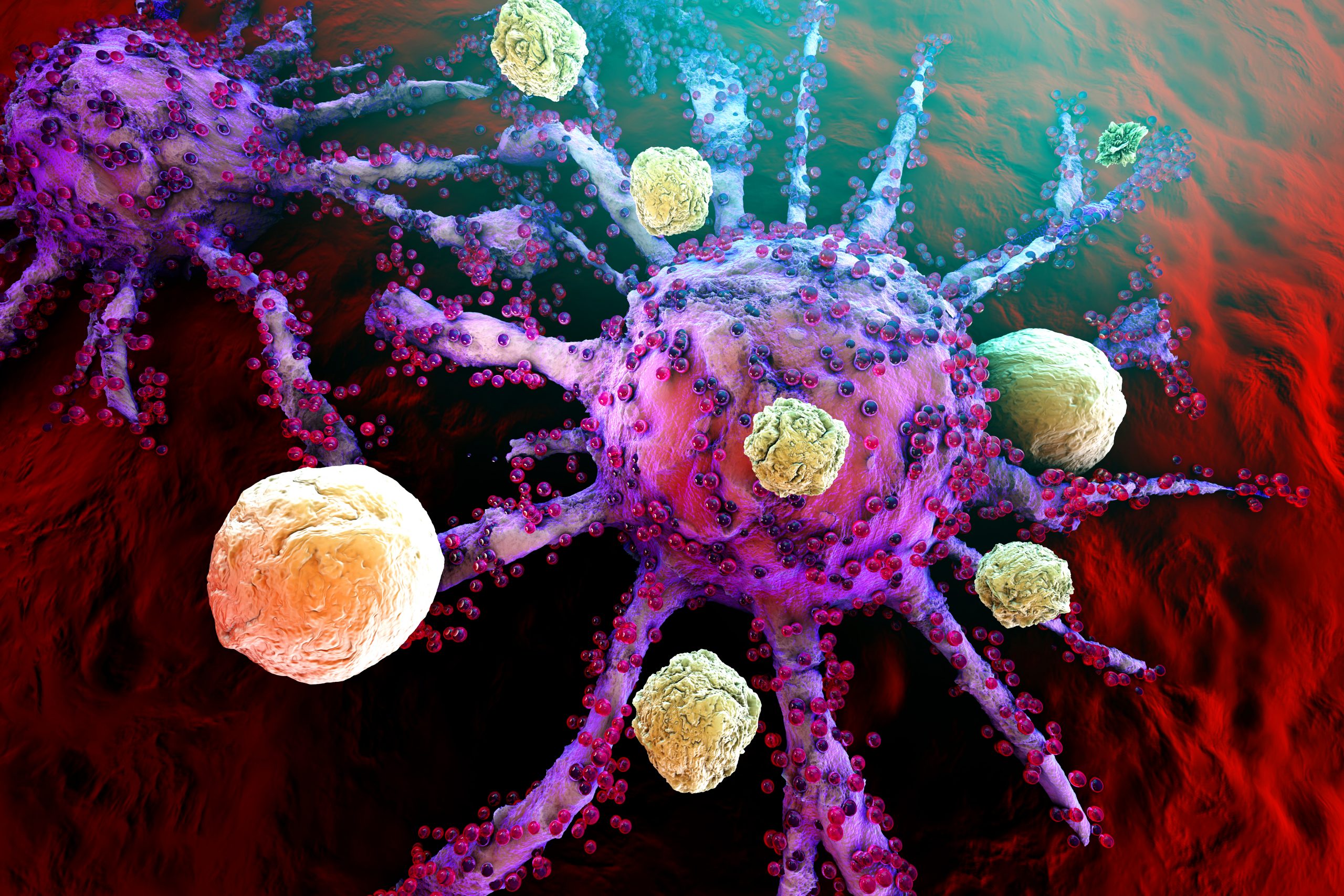 What is Immunotherapy?